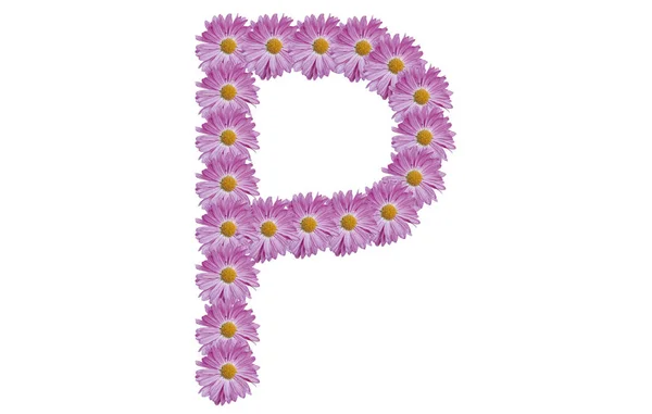 Буква Выполнена Розового Цветка Выделенного Белом Фоне Идея Весны — стоковое фото