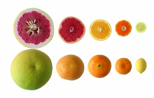 Цитрусовые Ломтики Лимон Мандарин Апельсин Помело Грейпфрут Изолированы Белом Фоне — стоковое фото