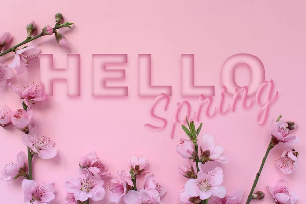 Frühlingsidee Blütenbaumzweig Und Text Hallo Frühling Isoliert Auf Rosa Hintergrund lizenzfreie Stockfotos