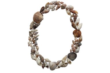 O harfi, yaz konsepti fikri. O harfi beyaz arkaplanda deniz kabuğuyla izole edildi.