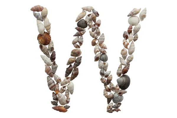 字母W 夏天的概念想法 字母W 用海贝壳制成 白色背景孤立 — 图库照片