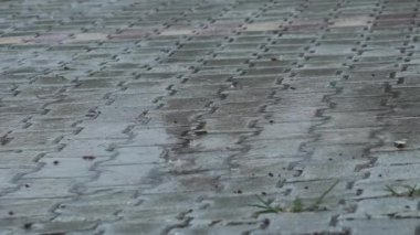 Kış konsepti. Kaldırıma düşen yağmurun sokak manzarasını kapat. 