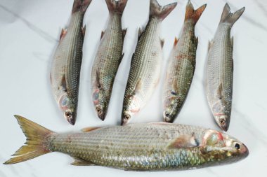 Mermer mutfak tezgahında çiğ kefal balığı. Üst görünüm.