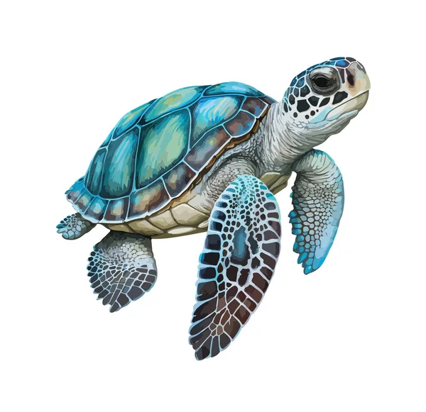 Kaplumbağa Kırpması Izole Vektör Illüstrasyonu — Stok Vektör