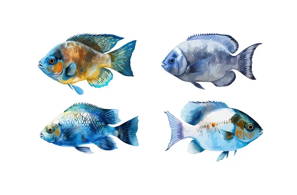 Fish Clipart Illustrazione Vettoriale Isolata — Vettoriale Stock