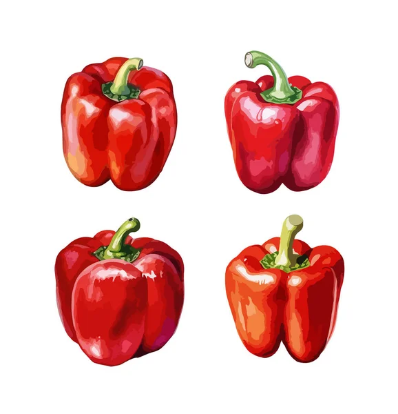 Peperoncino Rosso Clipart Illustrazione Vettoriale Isolata — Vettoriale Stock