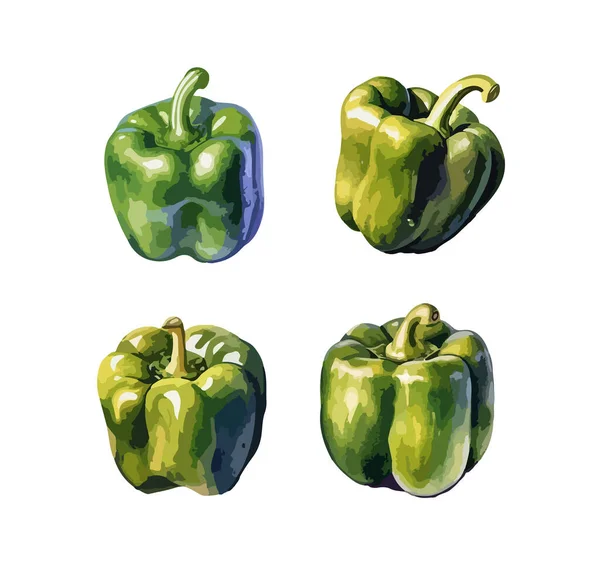 Clipart Pimienta Verde Ilustración Vectorial Aislada — Archivo Imágenes Vectoriales