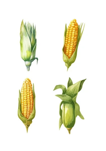 Corn Clipart Isolated Vector Illustration — Stock Vector