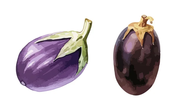 Eggplant Clipart Isolated Vector Illustration — Stock Vector