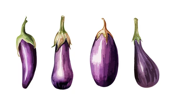 Eggplant Clipart Isolerad Vektor Illustration — Stock vektor