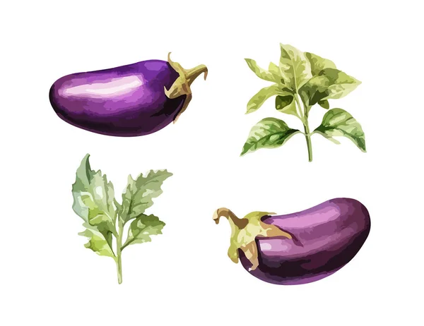 Eggplant Clipart 일러스트 — 스톡 벡터