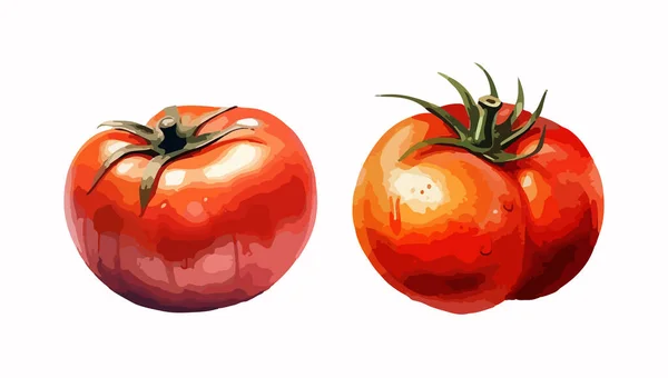 Tomato Clipart Isolated Vector Illustration — Stock Vector