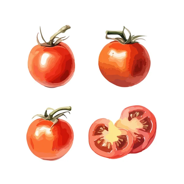 Clipart Tomate Ilustração Vetorial Isolada — Vetor de Stock