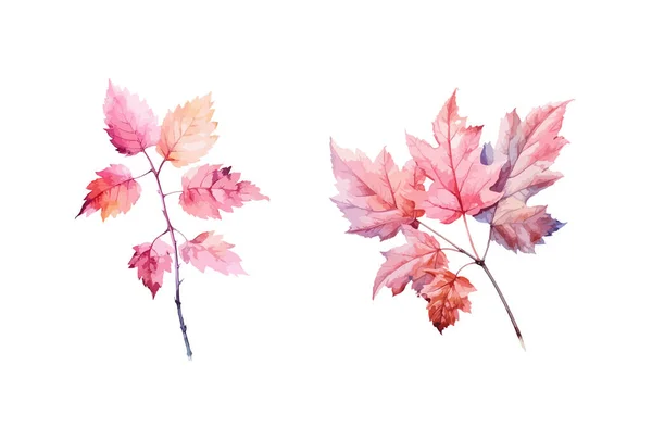 Autumn Leaf Clipart Odizolowany Wektor Ilustracji — Wektor stockowy