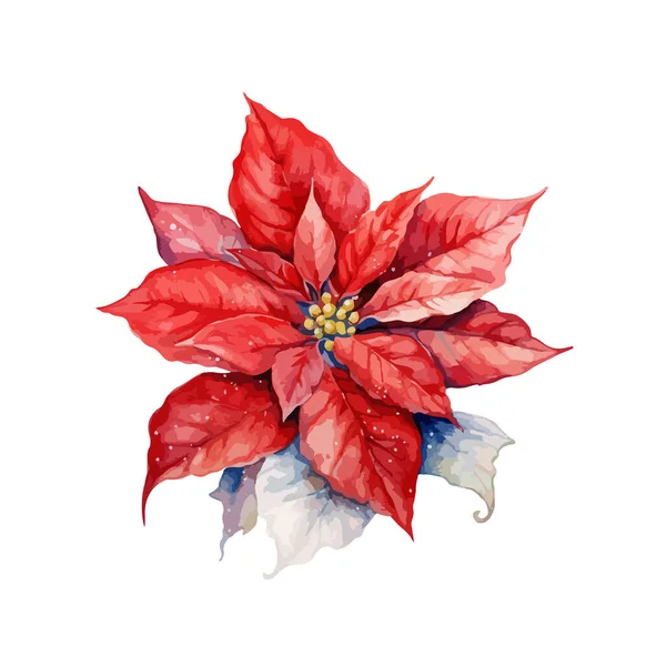 Poinsettia Clipart Isolated Vector Illustration — 图库矢量图片