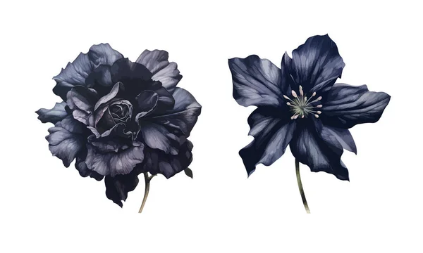Gotische Bloemen Clipart Geïsoleerde Vector Illustratie — Stockvector