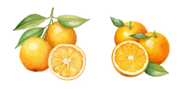 Clipart Arancione Illustrazione Vettoriale Isolata — Vettoriale Stock