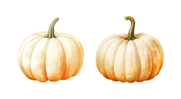 Pumpkin Clipart Isolated Vector Illustration — Stock Vector