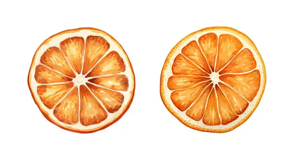 Orange Clipart Isolated Vector Illustration — Stock Vector