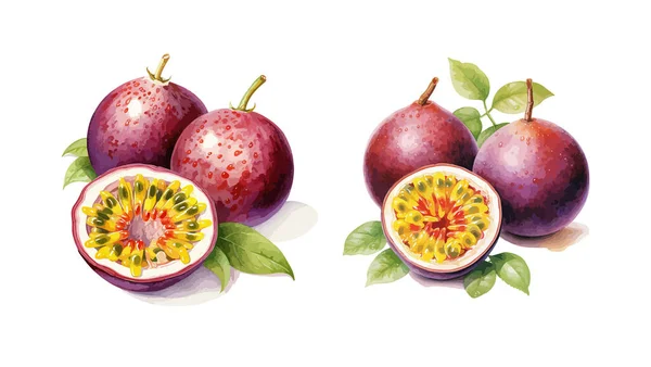 Clipart Fruta Pasión Ilustración Vectorial Aislada — Vector de stock
