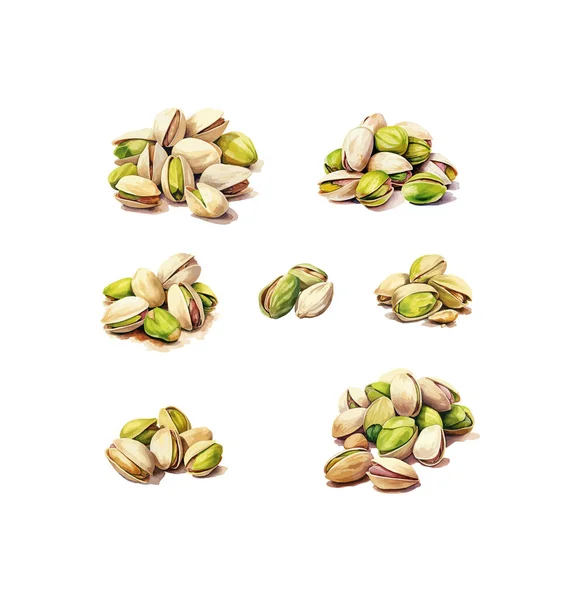 Pistachios Clipart Isolated Vector Illustration — Stock Vector
