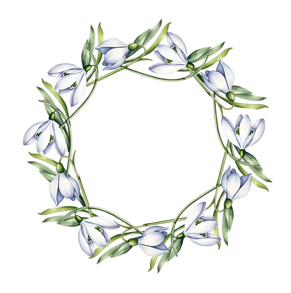 Watercolor frame snowdrops, spring wreath. Illustration clipart isolated on white background.