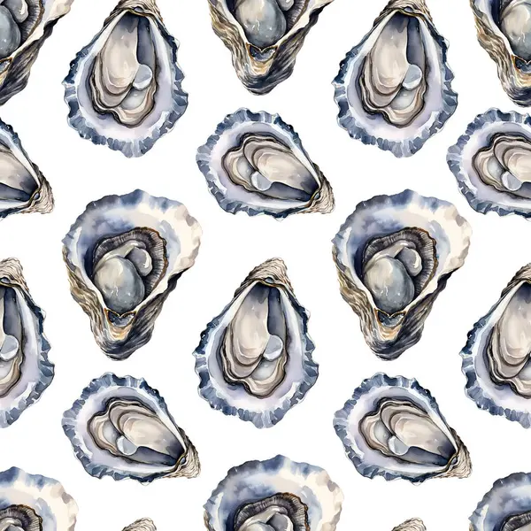 Watercolor oyster, sea seamless pattern, watercolor illustration, background.