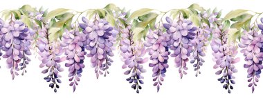 Amerikan Wisteria suluboya deseni, sınır, suluboya çizimi, arkaplan.