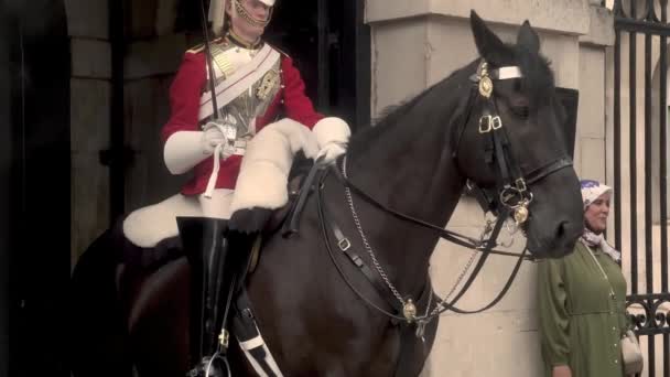 London Horse Guard Lifeguard United Kingdom 2022 — Stockvideo