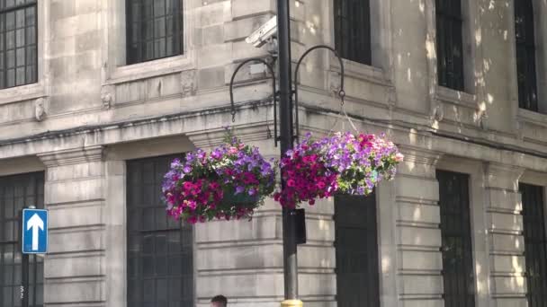 Street View London Reino Unido — Vídeos de Stock