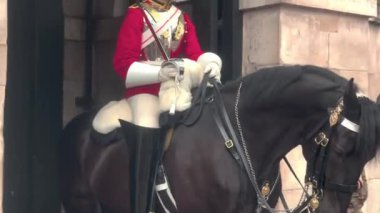 London horse guard lifeguard, United Kingdom - 01.08.2022