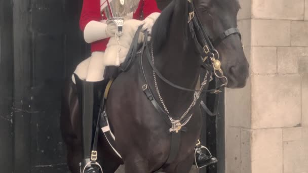 ロンドン馬警備員ライフガード イギリス 2022 — ストック動画