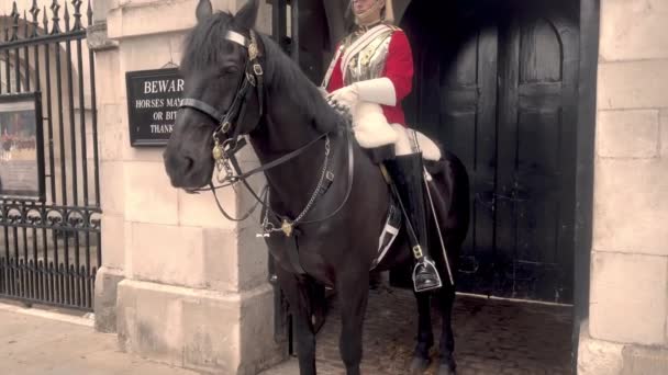 London Horse Guard Lifeguard United Kingdom 2022 — 비디오