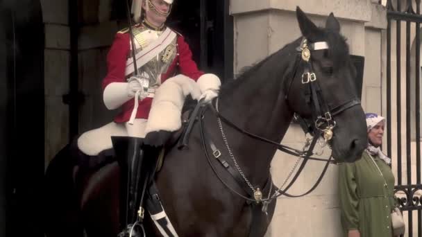 London Horse Guard Lifeguard United Kingdom 2022 — Stock Video