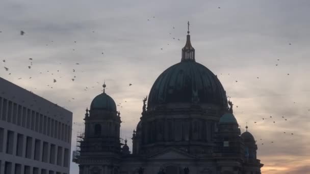 Birds Flying Berlin Cathedral Berliner Dom Evening Germany — Vídeo de stock
