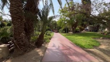 İsrail 'deki Kibbutz Ein Gedi botanik bahçesinde yürüyorum.