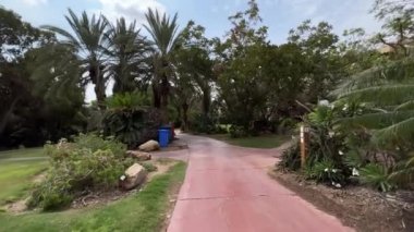 İsrail 'deki Kibbutz Ein Gedi botanik bahçesinde yürüyorum.