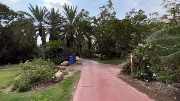 Walking Trough Kibbutz Ein Gedi Botanical Garden Israel — Stock Video