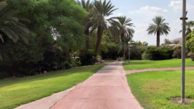 İsrail 'deki Kibbutz Ein Gedi botanik bahçesinde yürüyorum.