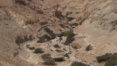 Ein Gedi ulusal park rezervasyonu güzel bir sabahta