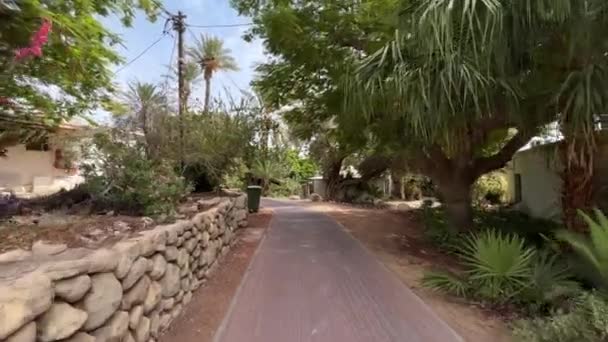 Walking Trough Kibbutz Ein Gedi Botanical Garden Israel — Stock Video