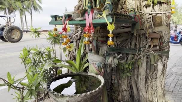 Arany Buddha Templom Pattaya Thaiföld — Stock videók