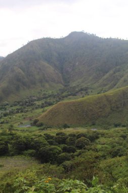 Dağları ve ağaçları olan güzel bir manzara.