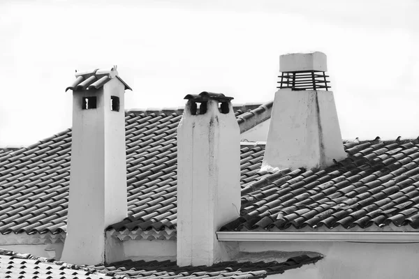Černobílý Záběr Domu Kachlovou Střechou Komínem — Stock fotografie