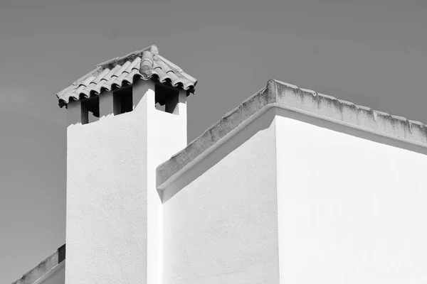 Çatı Döşemesi Bacası Olan Bir Evin Siyah Beyaz Görüntüsü — Stok fotoğraf
