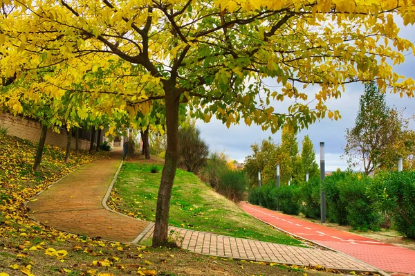 Jesienny Widok Park Promenadą Ścieżką Rowerową Miejscowości Arroyomolinos Madryt Hiszpania — Zdjęcie stockowe