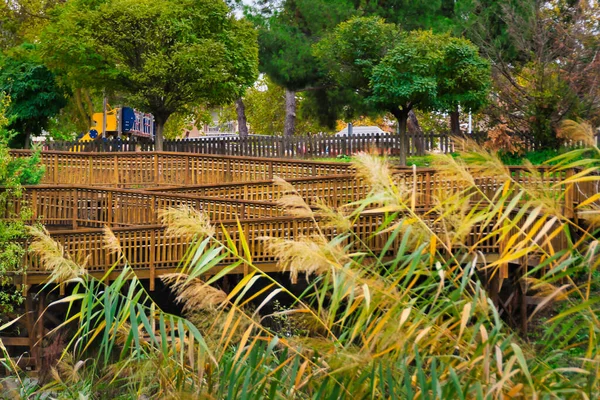 Arroyomolinos, Madrid, İspanya 'daki bir parkta ahşap yol..