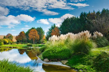 Arroyomolinos, Madrid 'deki küçük bir gölün sularına yansıyan sayısız bitki türüne sahip bir parkın bukolik görüntüsü (İspanya)).