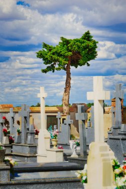 Çok bulutlu bir günde, mezarlık manzarası ve ortasında ayakta duran bir ağaç..