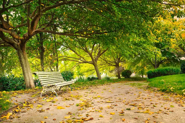 Одинокая Деревянная Скамейка Парке Осенью Арройомолинос Мадрид Испания — стоковое фото